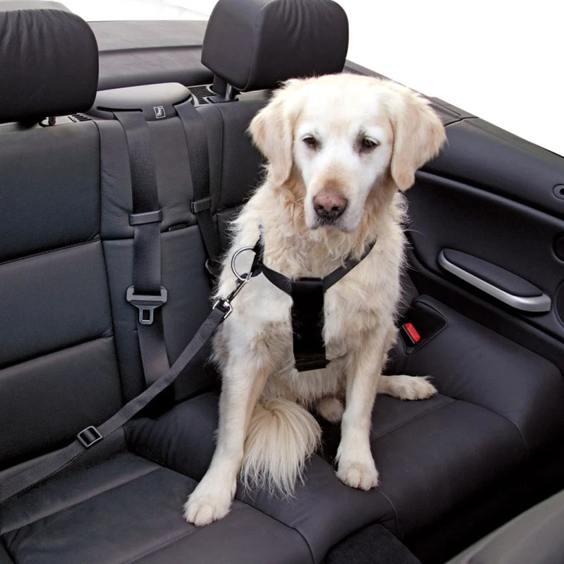 Pettorina regolabile per cani da auto in nylon nero con imbottitura e moschettone