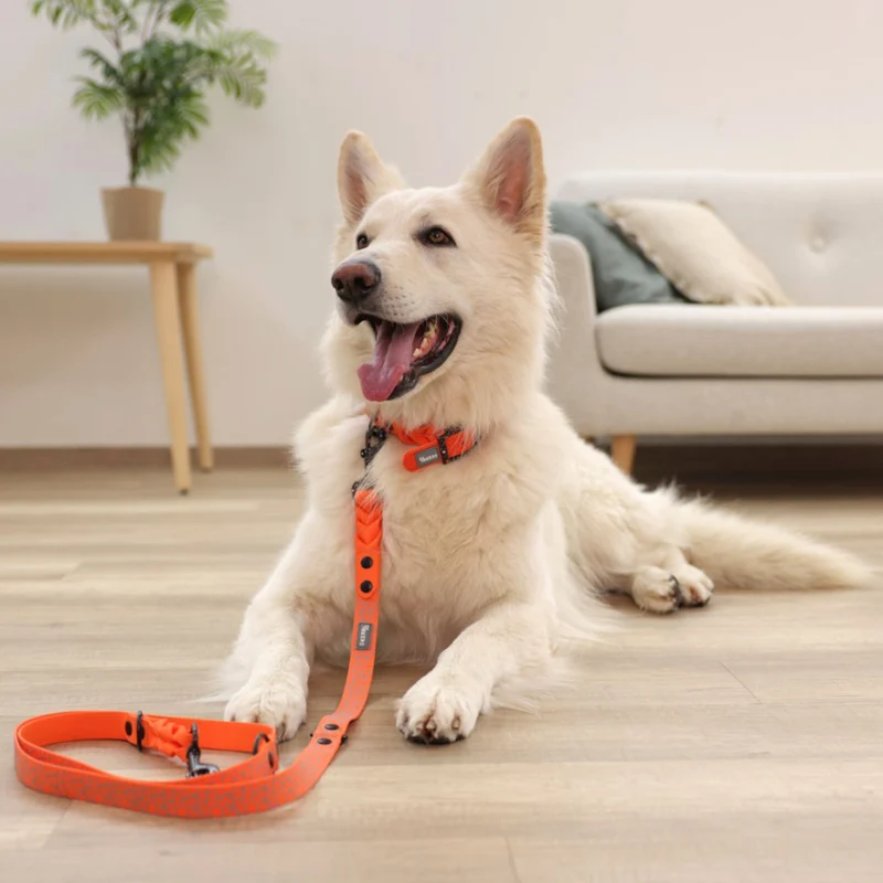 Collare per Cani Puno – Extra Resistente con Stampa Riflettente e Chiusura in Acciaio