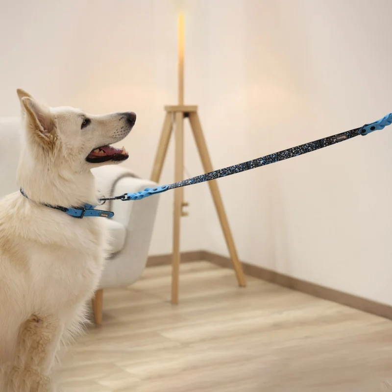 Collare Resistente Lima per Cani