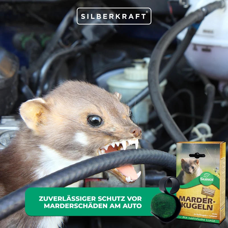 Silence Marder-Duftkugeln: Effektiver Langzeitschutz vor Marderschäden am Auto