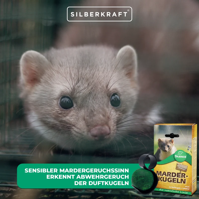 Silence Marder-Duftkugeln: Effektiver Langzeitschutz vor Marderschäden am Auto