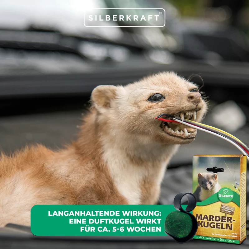 Silence Marder-Duftkugeln: Effektiver Langzeitschutz vor Marderschäden am Auto