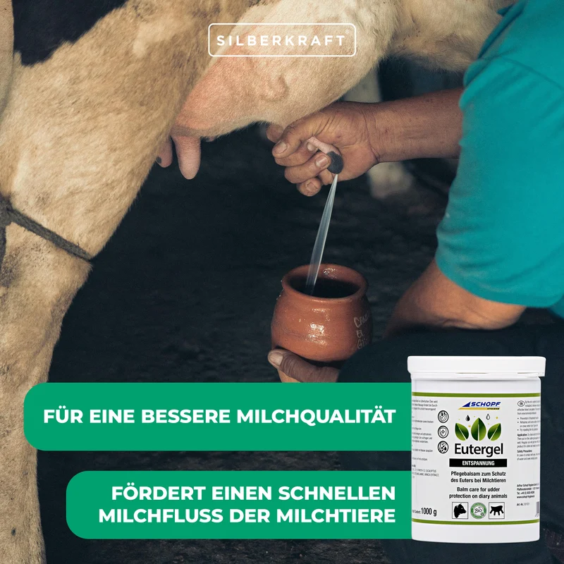 Eutergel grün: Schützendes Pflegebalsam für Kühe