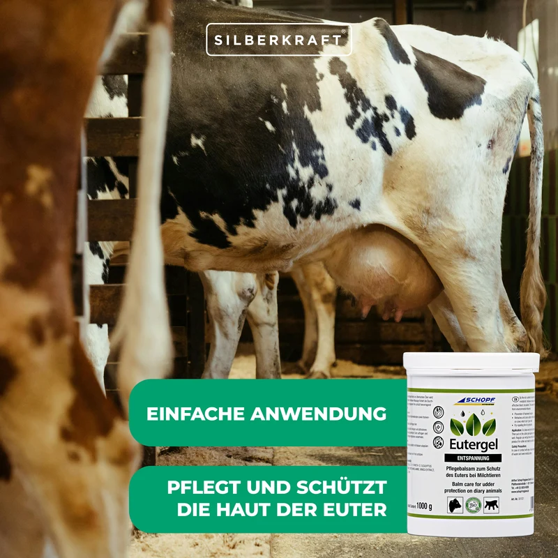 Eutergel grün: Schützendes Pflegebalsam für Kühe