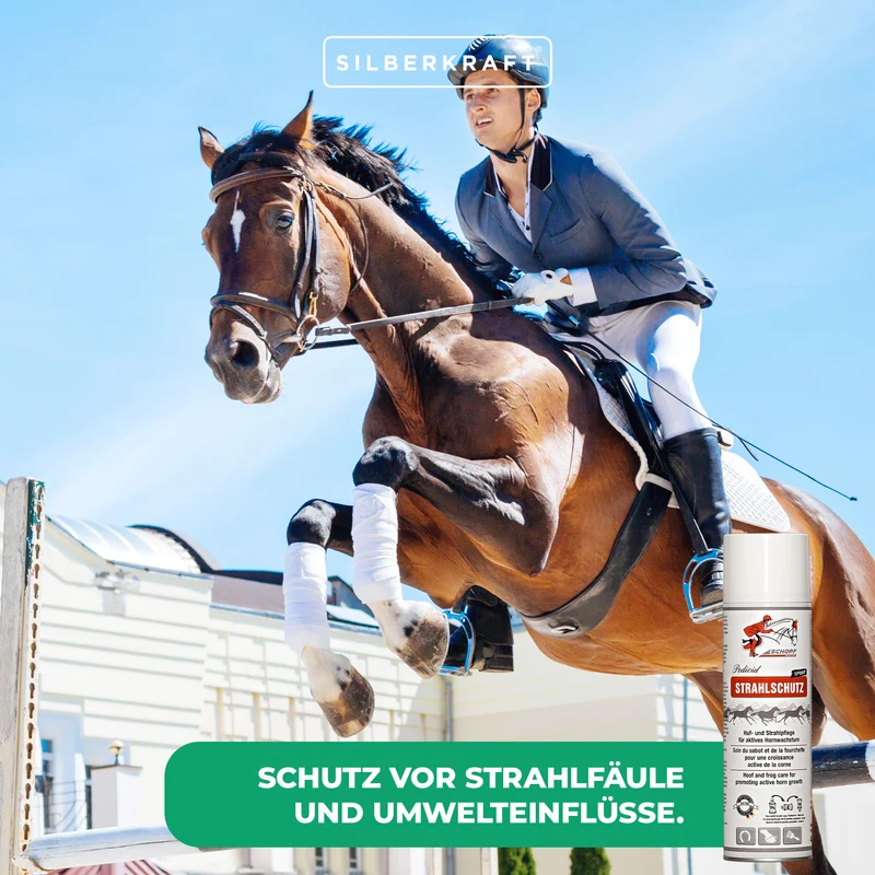 Strahlschutz Spray für robuste Pferdehufen