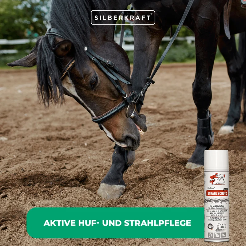 Strahlschutz Spray für robuste Pferdehufen