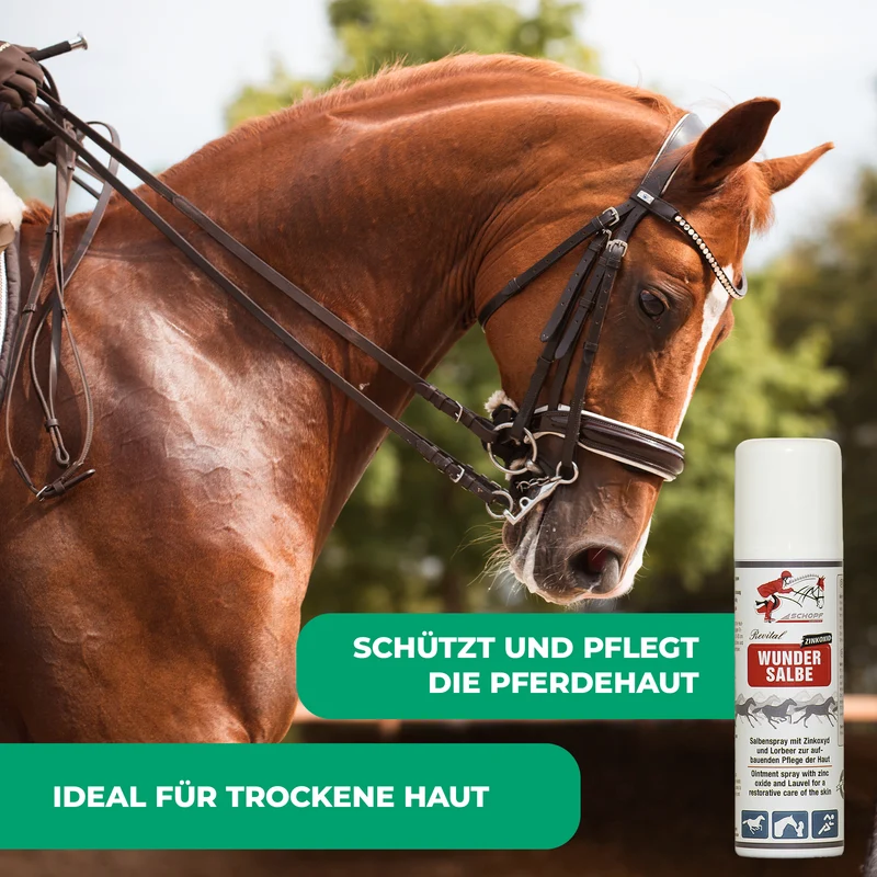 Salbenspray zum Schutz und zur Pflege von Pferdehaut