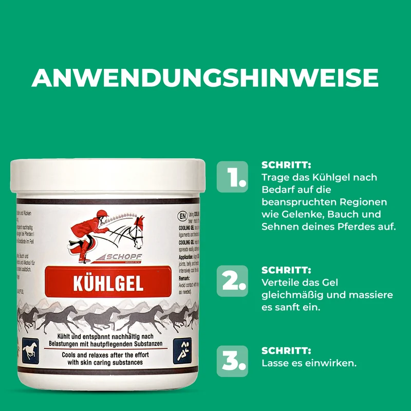Kühlgel für Pferde: sanfte Entspannung & Regeneration