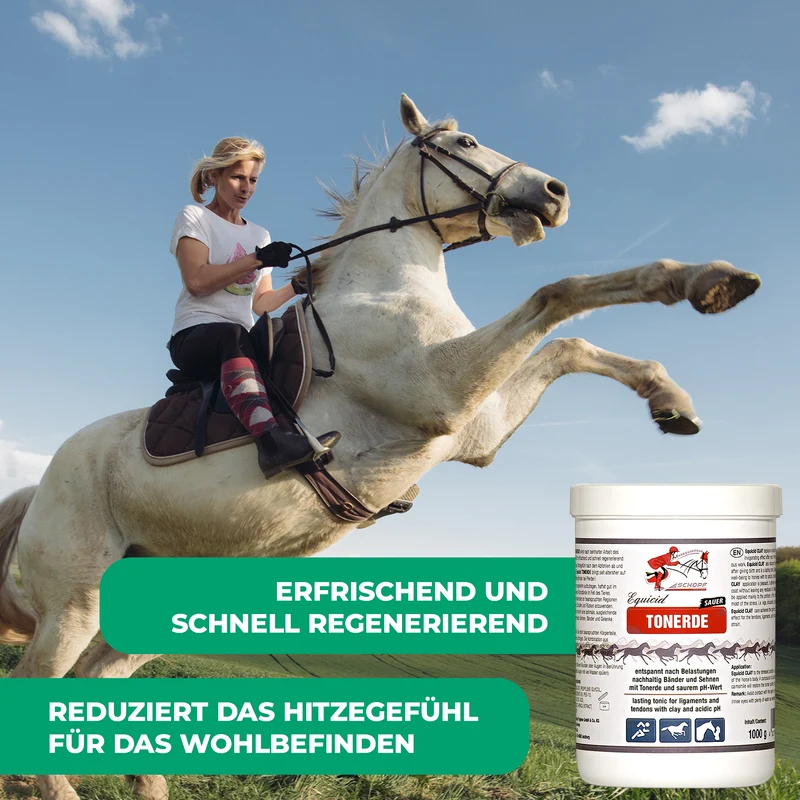 Equicid Tonerde: Erfrischende Pferdepflege für Entspannung und Regeneration