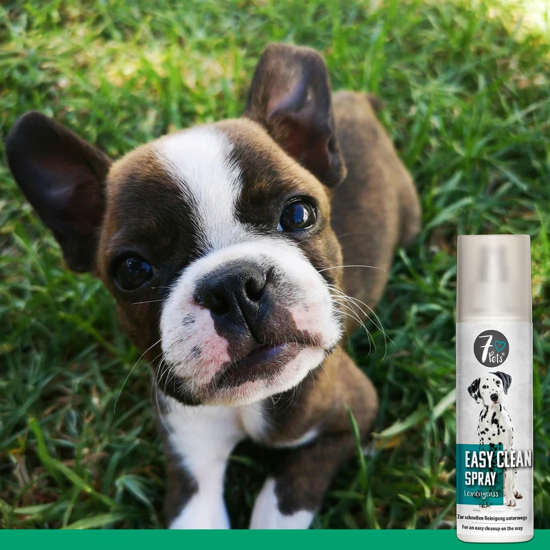 Easy Clean Spray - Hunde Reinigung für unterwegs
