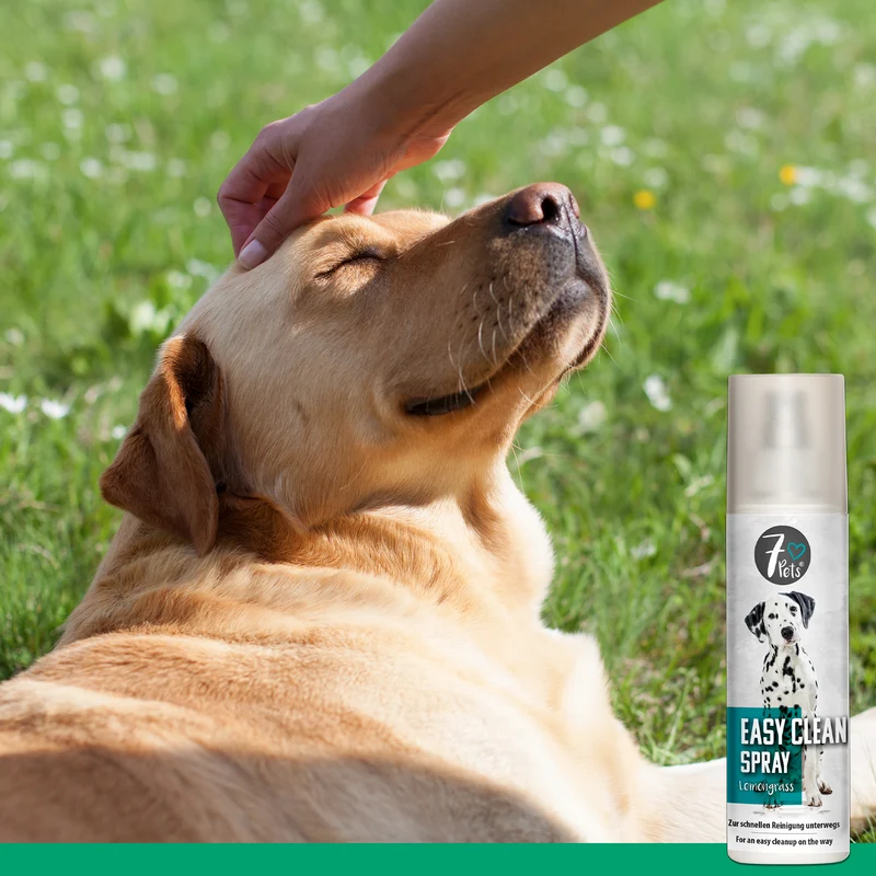 Easy Clean Spray - Hunde Reinigung für unterwegs