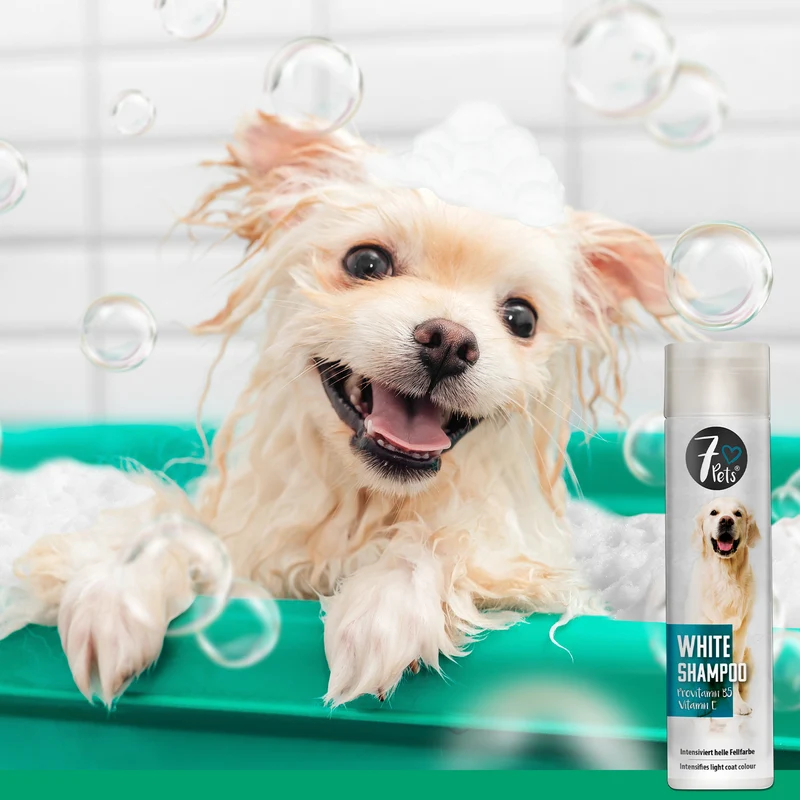 White Shampoo - Hundeshampoo für helles Fell