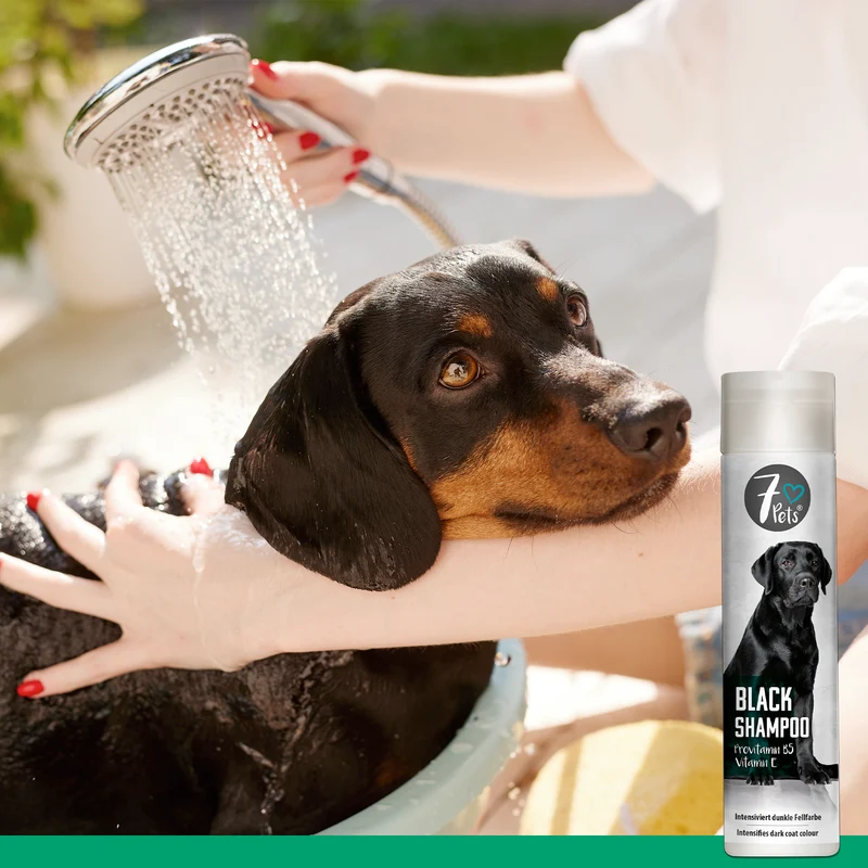 Black Shampoo - Hundeshampoo für dunkelfarbiges Fell