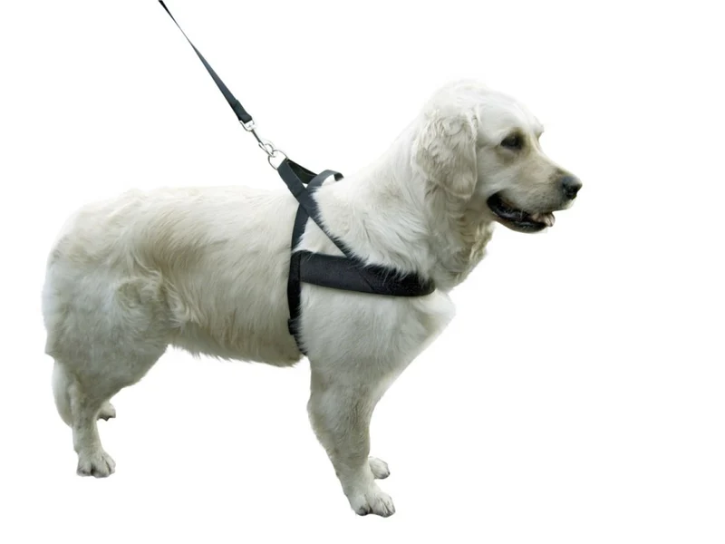 Pettorina Miami Plus per cani