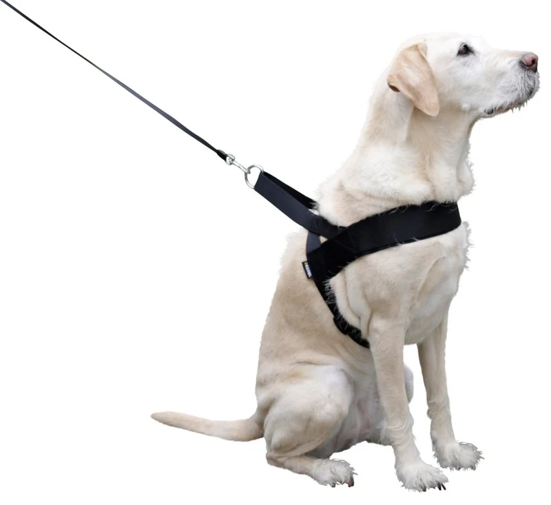 Pettorina Miami Plus per cani