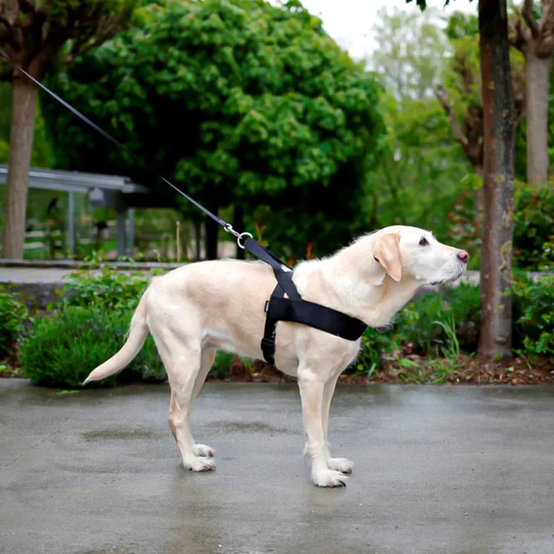 Pettorina Miami Plus per cani