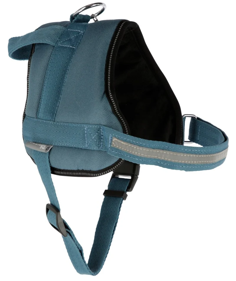 Pettorina Maestro 2.0 con Maniglia e Tubo Porta Indirizzo per Cani