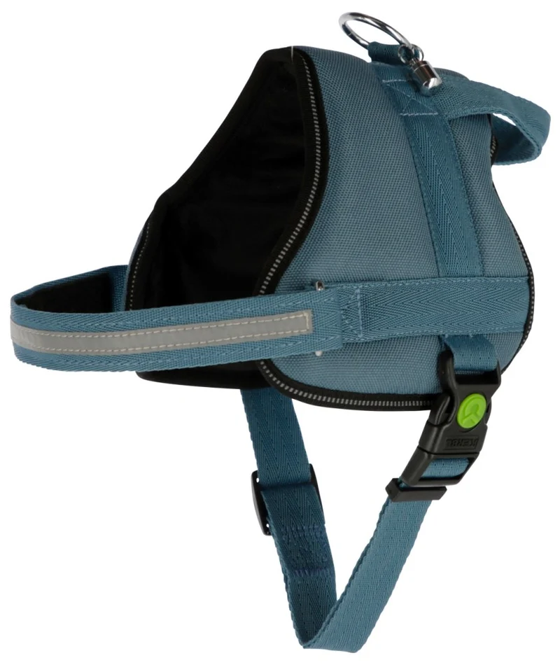 Pettorina Maestro 2.0 con Maniglia e Tubo Porta Indirizzo per Cani