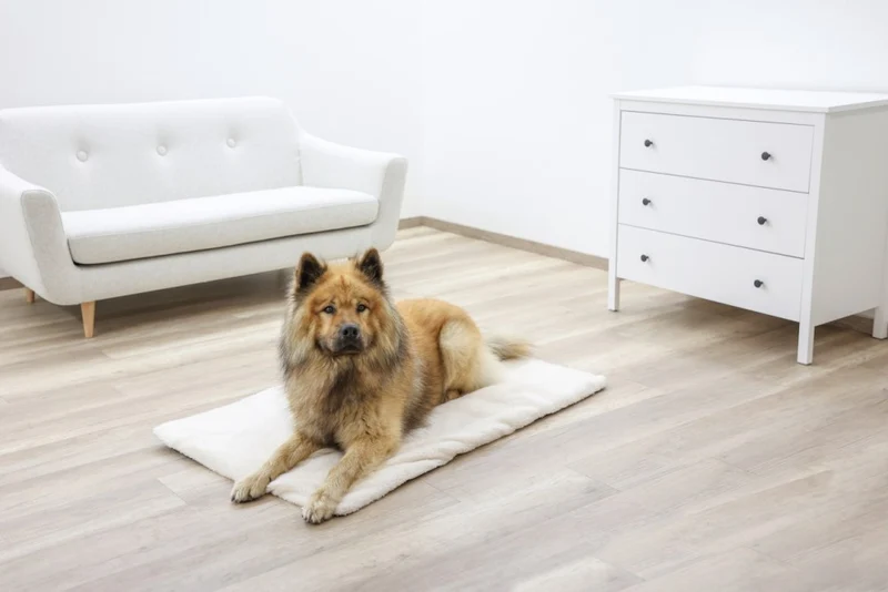Cuscino da Pavimento Theo per Cani e Gatti