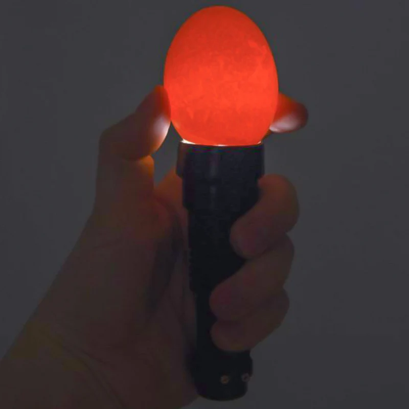 Lampada LED Sperauova per Monitorare lo Sviluppo degli Embrioni nelle Uova