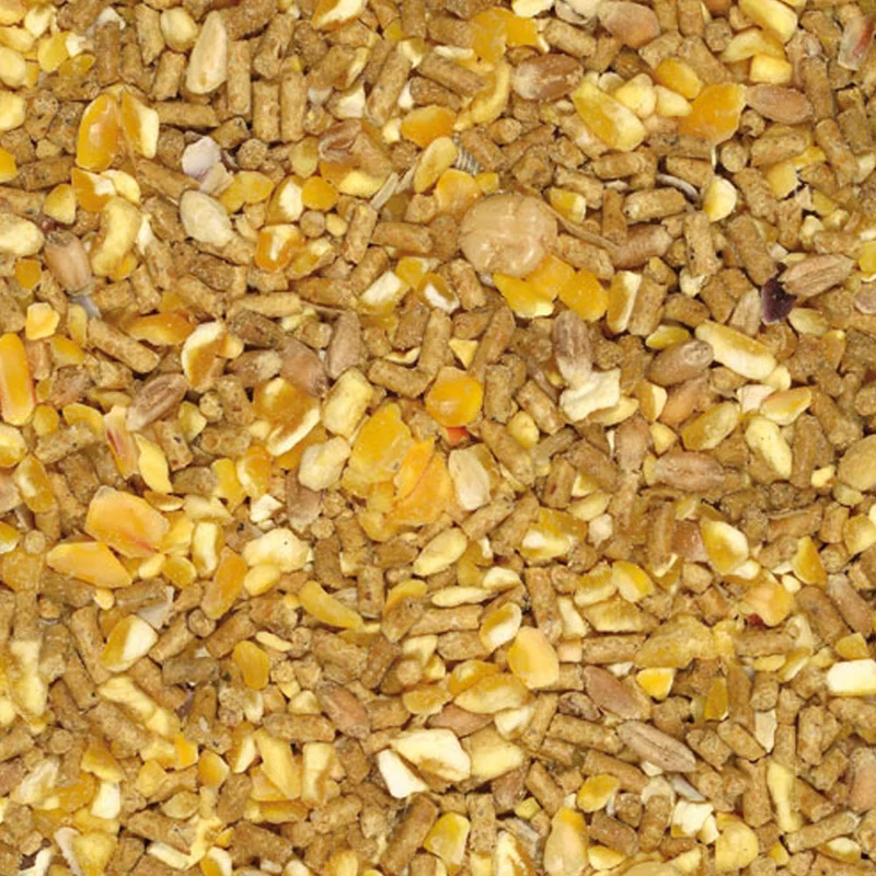 Mangime Coccodoro NO OGM per Galline Ovaiole