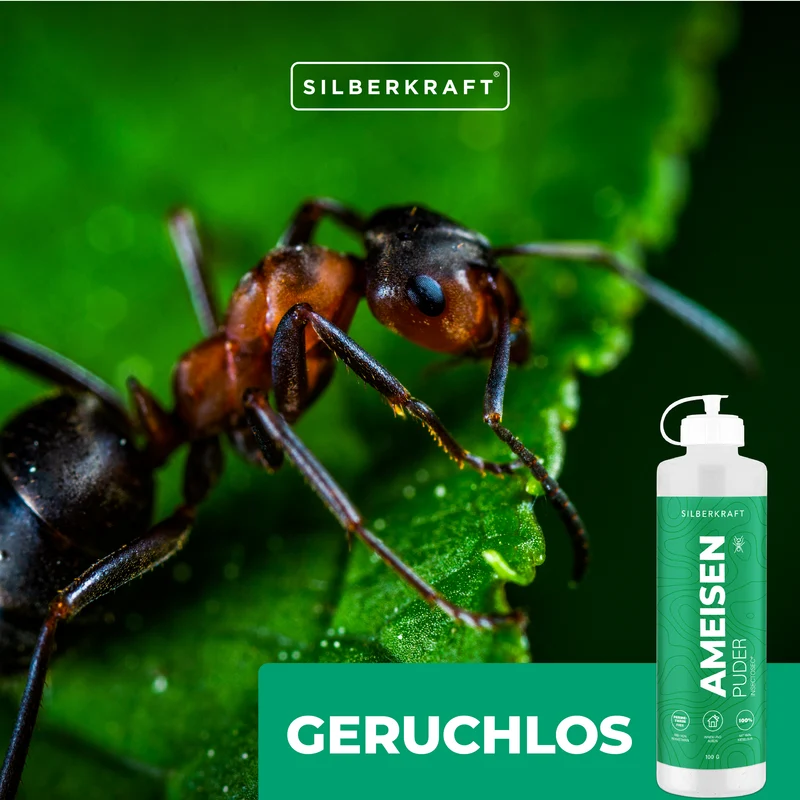 Ameisen-frei Pulver – Ameisenmittel für Innen & Außen – 100% Kieselgur – Alternative zu Ameisenköder und Ameisenspray