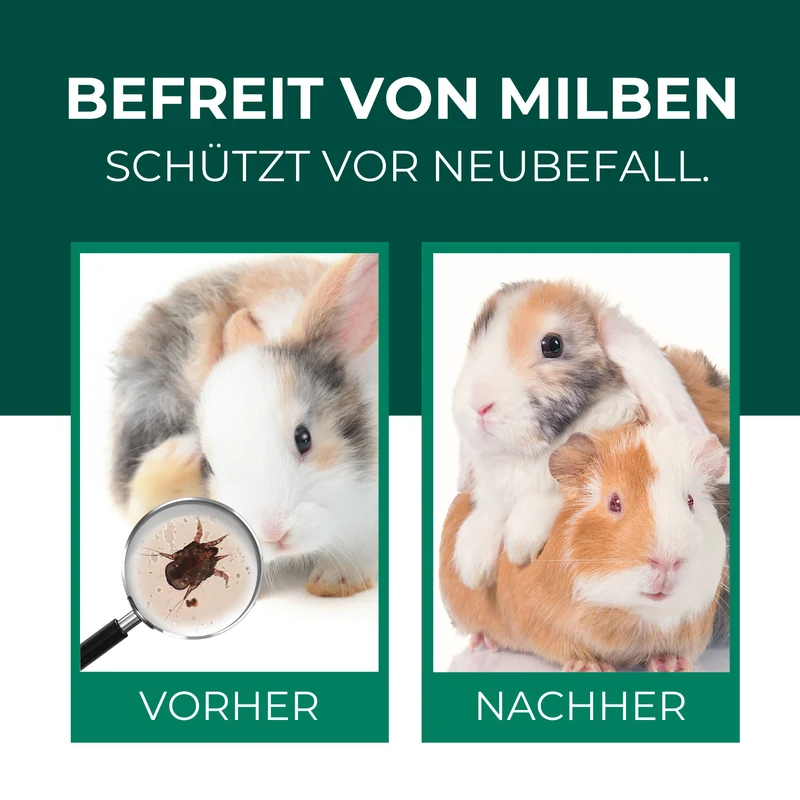Milbenspray Meerschweinchen & Kaninchen