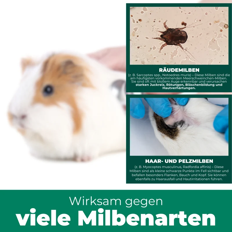 Milbenspray Meerschweinchen & Kaninchen