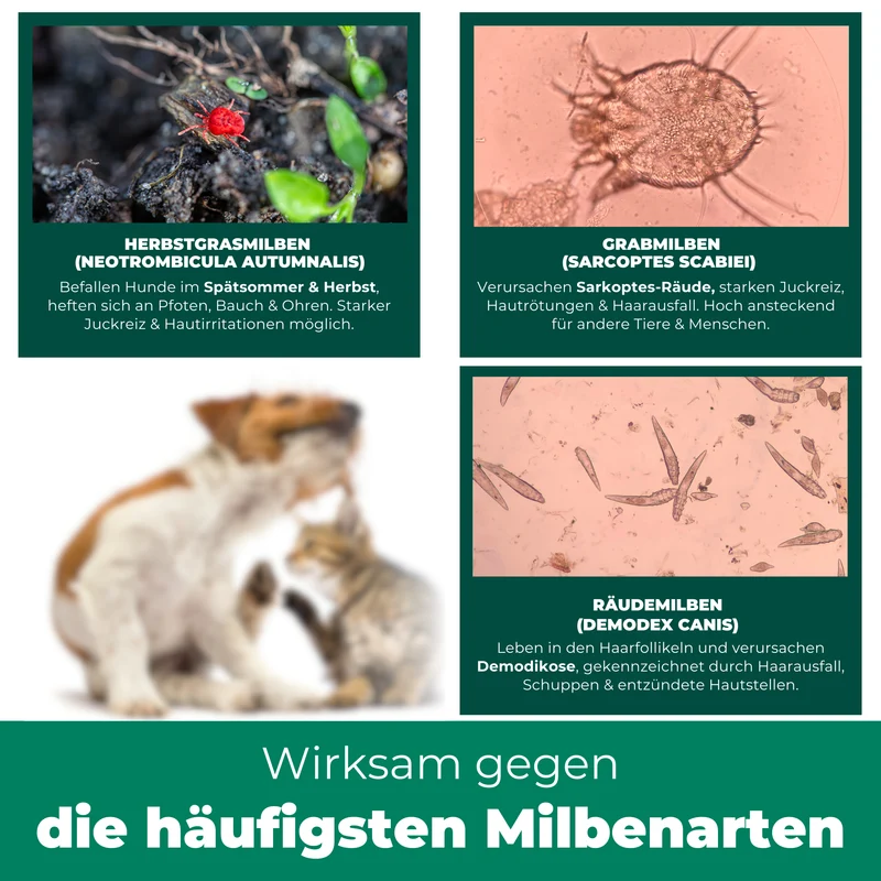 Milbenspray für Hunde & Katzen