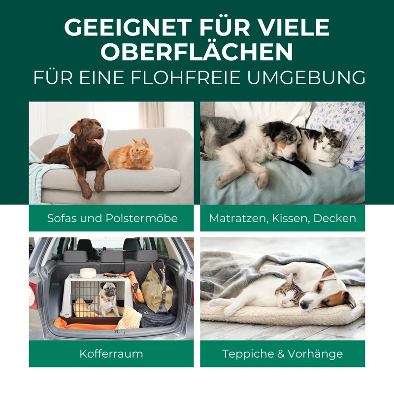 Flohspray für die Umgebung