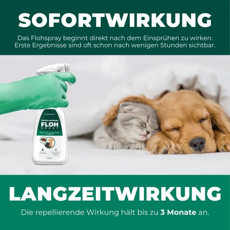 Flohspray für die Umgebung