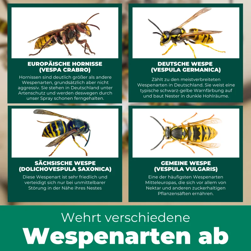 Wespenspray