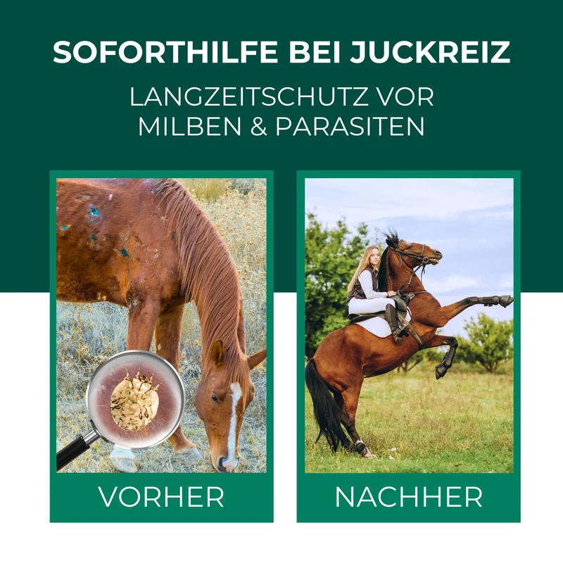 Milbenspray Pferde