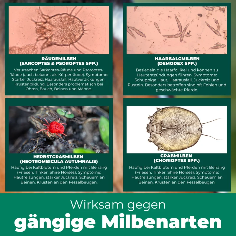 Milbenspray Pferde