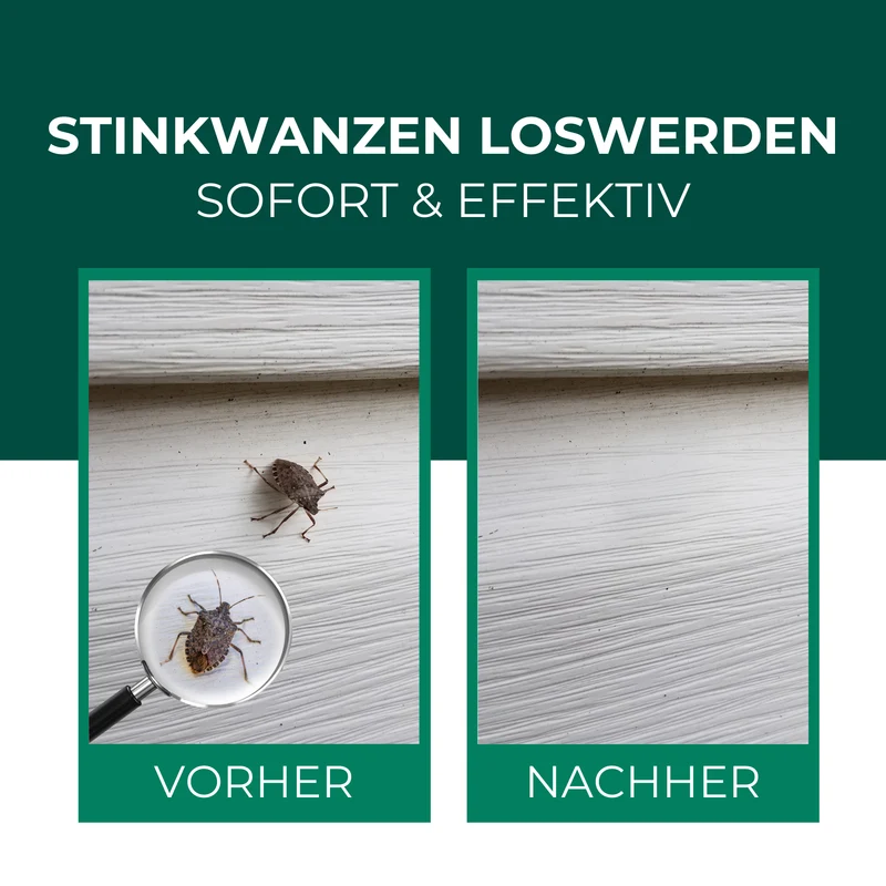 Stinkwanzenspray