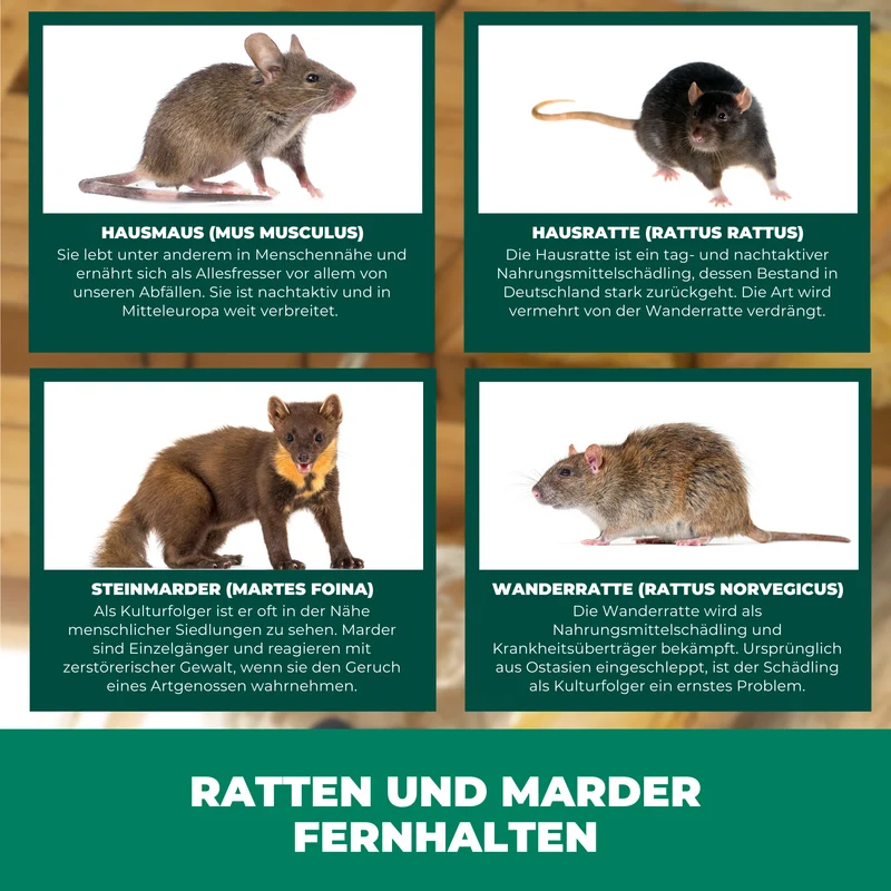 Ratten, Marder & Nager Ex Granulat