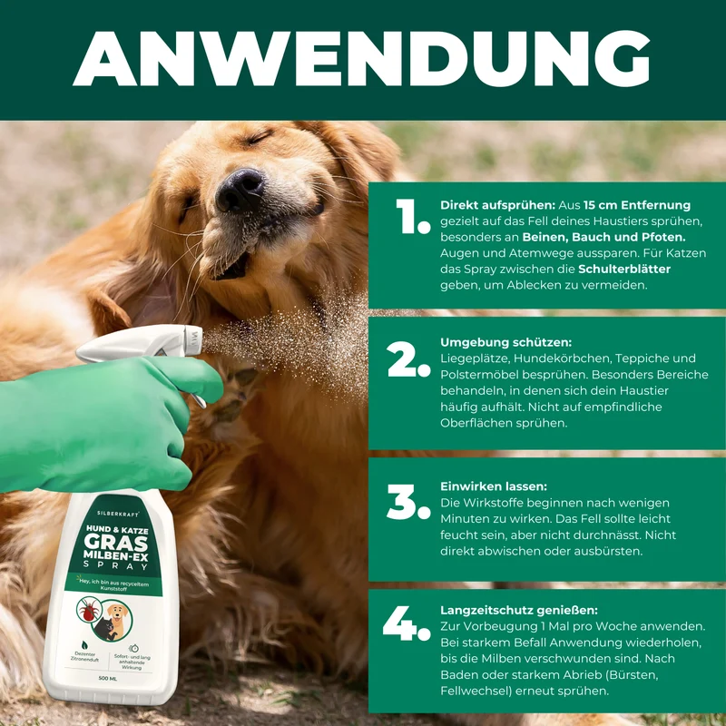 Grasmilben Ex Hund & Katze
