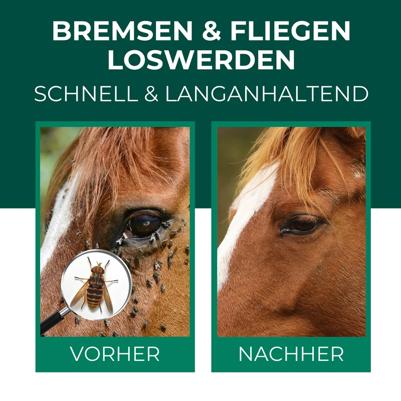 Bremsen-Spray für Pferde