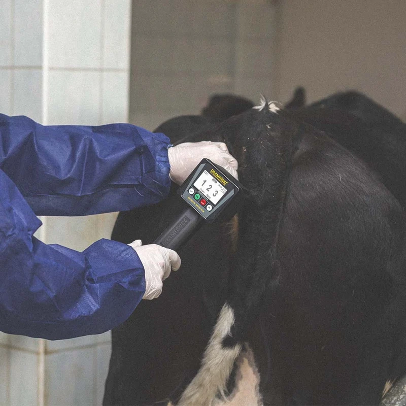 Rilevatore di calore per bovini e cavalli