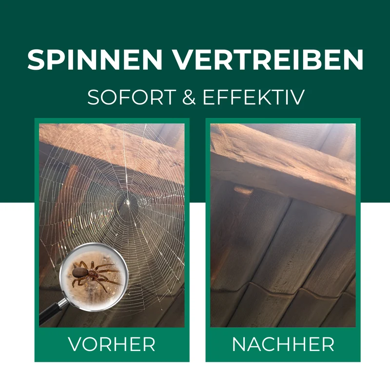 Spinnenspray - Anti Spinnen Mittel