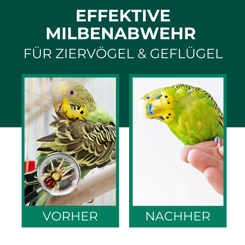 Milbenspray Vögel