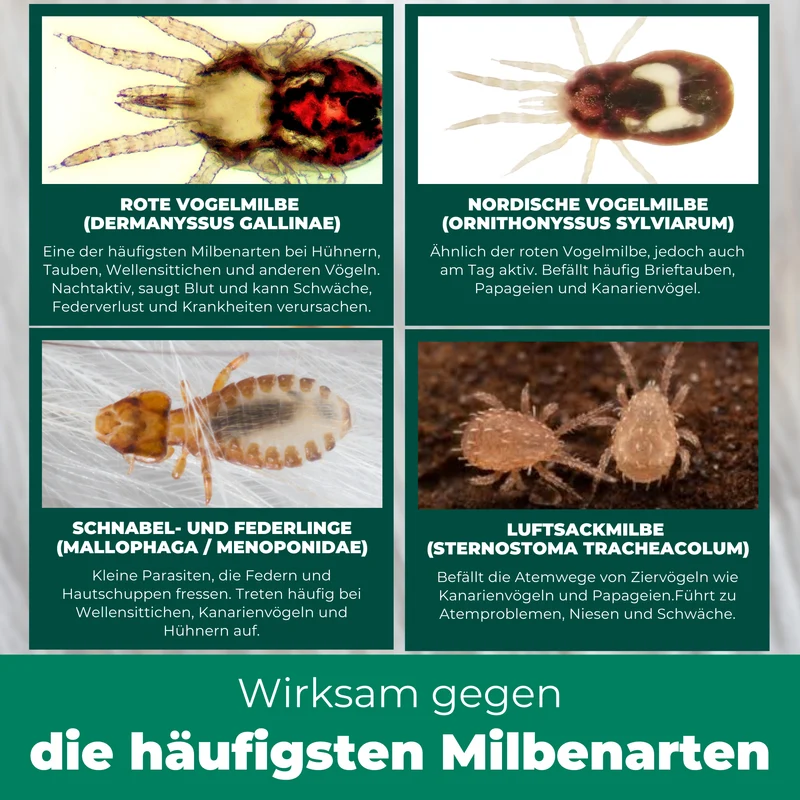 Milbenspray Vögel