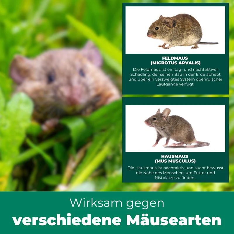 Mäuse-Abwehr-Spray