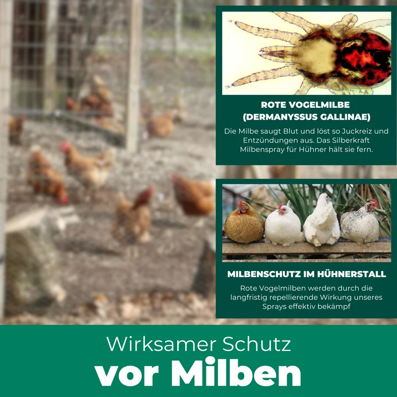 Milbenspray Hühner