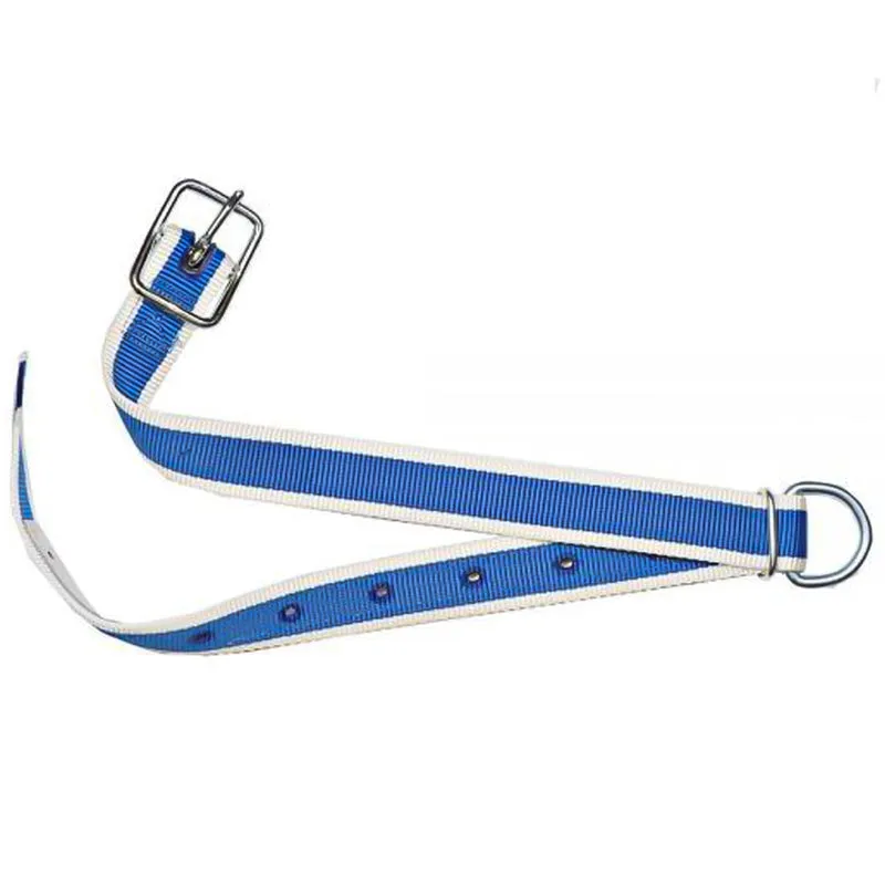 Collare di ricambio 130x4cm per HB 101