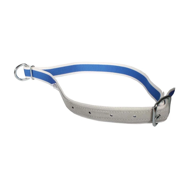 Collare di ricambio 130x4cm per HB 101