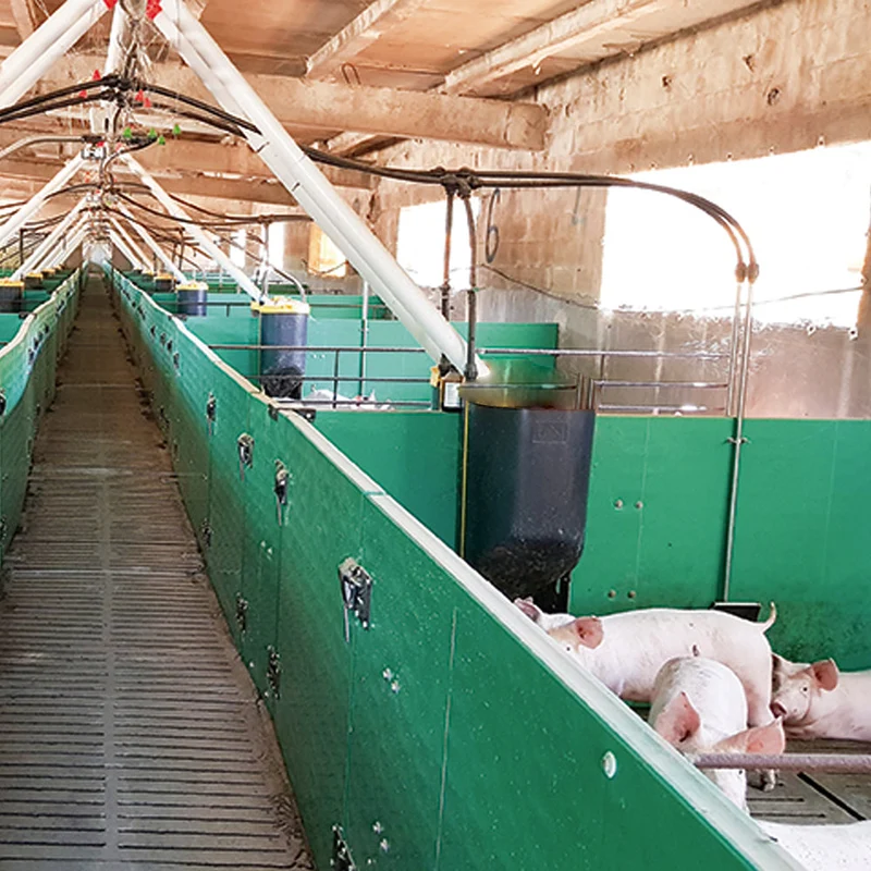 Mangiatoia automatica per suini da ingrasso - 60L