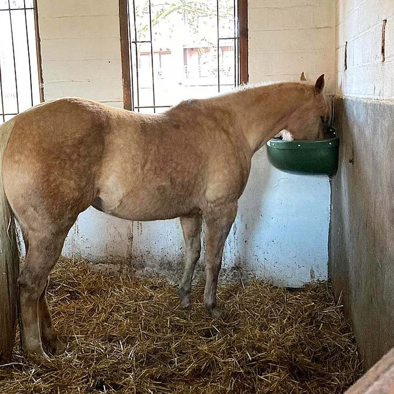 Mangiatoia angolare con protezione antimorso per cavalli - 30l