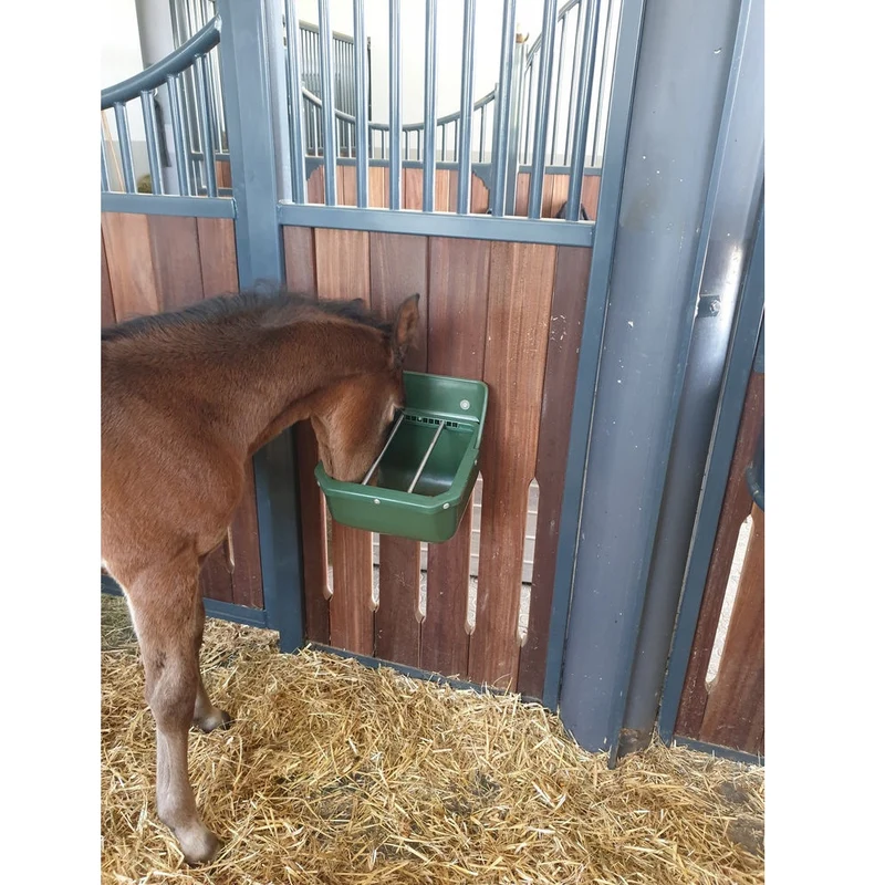 Mangatoia per Cavalli e Puledri con Barre in Metallo