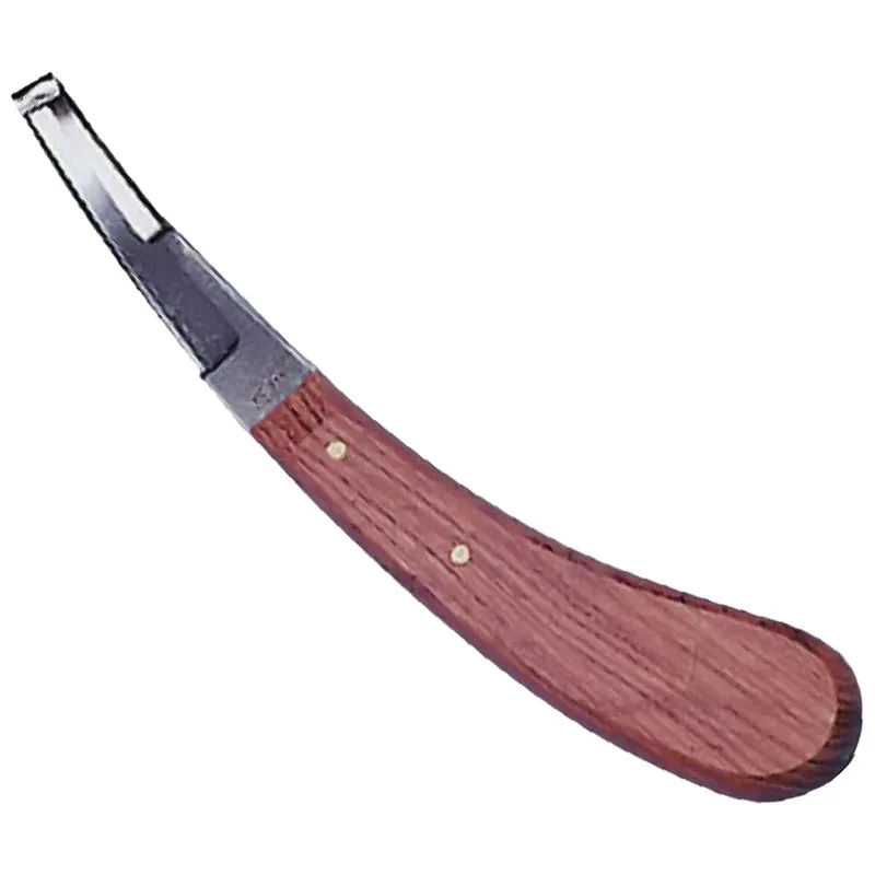 Coltello da Zoccolo Aesculap in Acciaio Inossidabile